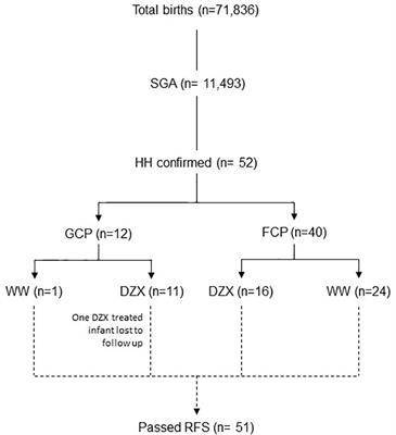 Watchful waiting versus pharmacological management of small-for-gestational-age infants with hyperinsulinemic hypoglycemia